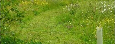 Business 11 image BELL GREEN P.O Post Offices in Coventry We