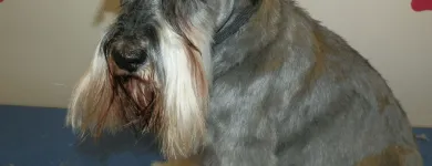 Business 6 image BURROWS & CLOSE Pharmacies in Nottingham No