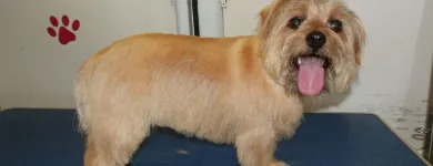 Business 7 image BURROWS & CLOSE Pharmacies in Nottingham No