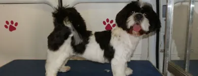 Business 8 image BURROWS & CLOSE Pharmacies in Nottingham No