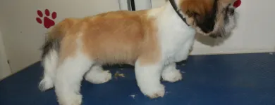 Business 10 image BURROWS & CLOSE Pharmacies in Nottingham No