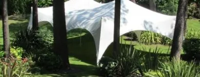 Business 5 image CELEBRATE IN STYLE Shopping & Retail in Alresford Ha