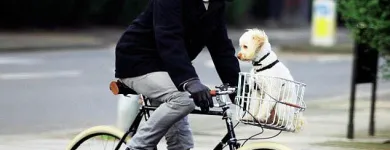 Business 7 image CHANCELLORS ESTATE AGENTS Estate Agents in Ascot Be