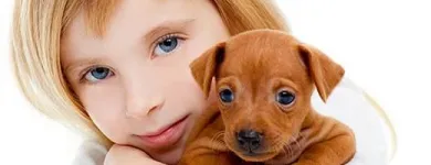 Business 1 image CLOUD 9 VETS Veterinary Services in Wigan La