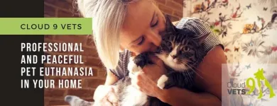 Business 3 image CLOUD 9 VETS Veterinary Services in Wigan La