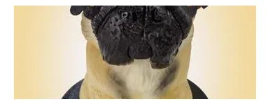 Business 10 image COOL CAKES BY CHRIS Wedding Services in Surbiton Su