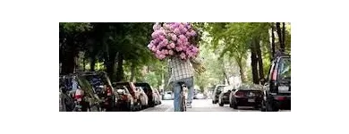 Business 15 image CREAM AND BROWNS FLORIST Wedding Services in Middlesbrough Cl