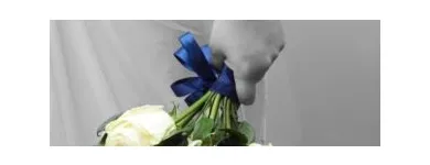 Business 7 image DAVID DODGE PHOTOGRAPHY Wedding Services in London Gr