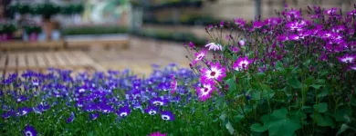 Business 2 image DOBBIES GARDEN CENTRE BEACONSFIELD Plant Nurseries & Garden Centres in Beaconsfield Bu