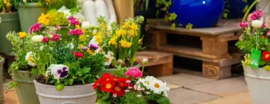 Business 4 image DOBBIES GARDEN CENTRE BEACONSFIELD Plant Nurseries & Garden Centres in Beaconsfield Bu