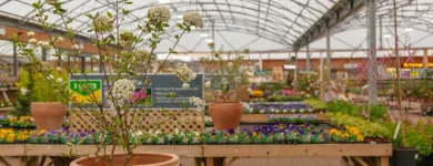 Business 1 image DOBBIES GARDEN CENTRE BURY ST EDMUNDS Plant Nurseries & Garden Centres in Bury St Edmunds Su