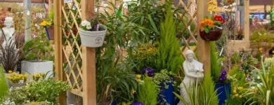 Business 3 image DOBBIES GARDEN CENTRE BURY ST EDMUNDS Plant Nurseries & Garden Centres in Bury St Edmunds Su