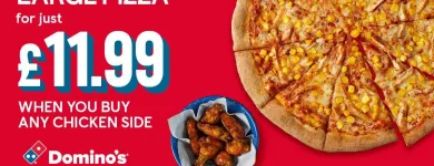 Business 10 image DOMINO'S PIZZA - COVENTRY - ERNESFORD GRANGE Food Delivery in Coventry We