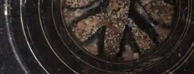 Business 4 image DRAINJETS DONCASTER LTD Plumbers in Doncaster So