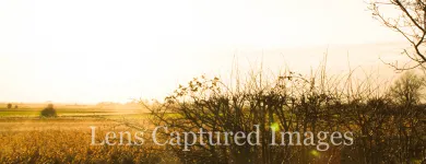 Business 7 image ENTERPRISE 4 ALL (NORTH WEST) LTD Management & Business Consultants in Blackburn La