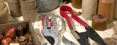 Business 3 image F:STOPS LTD Photographic Services in Harlow Es