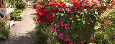 Business 1 image FLOW LEARNING LTD Training Services in Stockton-On-Tees Cl