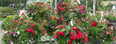 Business 2 image FLOW LEARNING LTD Training Services in Stockton-On-Tees Cl