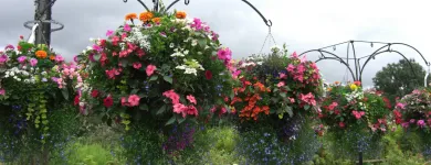 Business 3 image FLOW LEARNING LTD Training Services in Stockton-On-Tees Cl