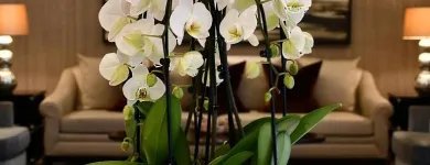 Business 4 image FLOWERS & PLANTS CO. Wedding Services in London Gr