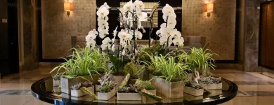 Business 5 image FLOWERS & PLANTS CO. Wedding Services in London Gr