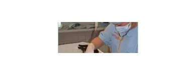 Business 9 image GODDARD VETERINARY GROUP Vets in Pinner Mi
