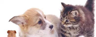 Business 5 image GODDARD VETERINARY GROUP Vets in Pinner Mi