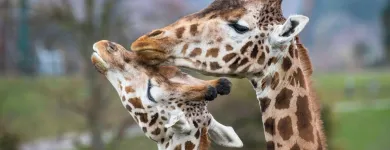 Business 2 image HOLIDAY INN EXPRESS EAST MIDLANDS AIRPORT, AN IHG HOTEL Travel & Tourism in Derby De