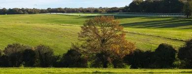 Business 83 image HOLIDAY INN EXPRESS LONDON - EPSOM DOWNS, AN IHG HOTEL Wedding Venues in Epsom Su