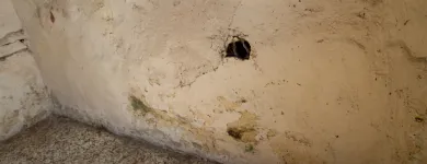 Business 3 image HYLTREAT Damp Proofing & Control in Clacton-On-Sea Es