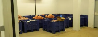 Business 8 image IAN HOBBS TECHNICAL SERVICES LTD Warehousing & Storage in Midsomer Norton So