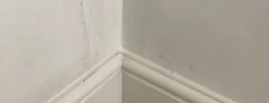 Business 11 image JACKS JOINERY Woodworking Equipment & Supplies in Reading Be