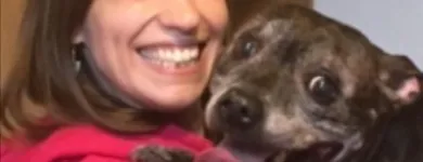 Business 3 image KIRSTY'S PAWS Pets & Animals in Bournemouth Do