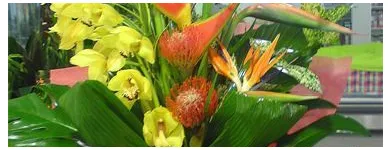 Business 6 image LE RAIN FLORIST Florists in Blackburn La