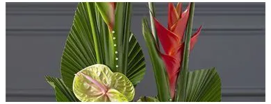 Business 8 image LE RAIN FLORIST Florists in Blackburn La