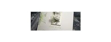 Business 18 image LOONEY LIZARD CREATIONS Wedding Venues in Reading Be