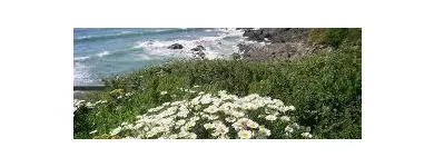 Business 16 image M J MILLER & CO Accountants in Wigan La