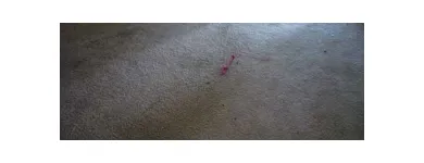 Business 7 image MAIDENHEAD CARPET & UPHOLSTERY CARE Carpet & Upholstery Cleaners in Maidenhead Be