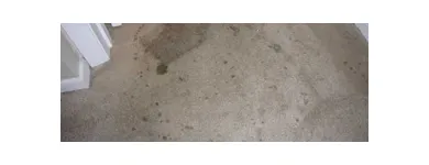 Business 2 image MAIDENHEAD CARPET & UPHOLSTERY CARE Carpet & Upholstery Cleaners in Maidenhead Be
