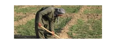 Business 2 image MSELECT RECRUITMENT Employment Services in Slough Be