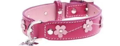 Business 7 image MUTTLEY'S DOG SUPPLIES & CLASSES Dog Training in Epsom Su