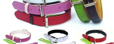 Business 3 image MUTTLEY'S DOG SUPPLIES & CLASSES Dog Training in Epsom Su