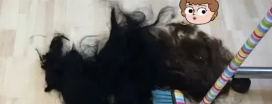 Business 17 image N D HAIR TEAM Hairdressers in Cardiff Crf