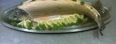 Business 7 image NAIL CREATIONS Nail Technicians in Orpington Ke