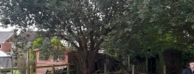 Business 7 image OAKWOOD TREE AND LANDSCAPING Tree Services in Derby De