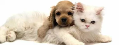 Business 5 image PET KINGS SUPPLY Pets & Animals in Aberdeen Ab