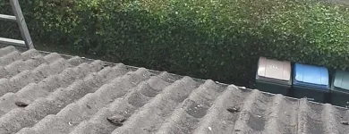 Business 5 image PRIMESHIELD ROOFING Roofing Contractors in Coventry We