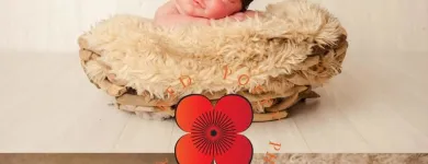 Business 4 image RED POPPY PHOTOGRAPHY Shopping & Retail in UXBRIDGE Gr