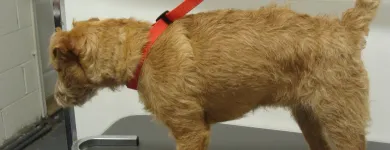 Business 9 image REDMAN CONTROLS & ELECTRONICS LTD Welding Equipment in Marlow Bu