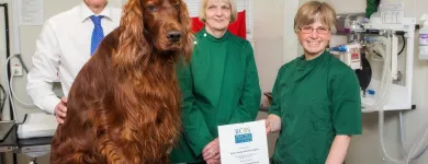 Business 3 image ROBERT YOUNG VETS, KELSO Veterinary Services in Kelso Ro